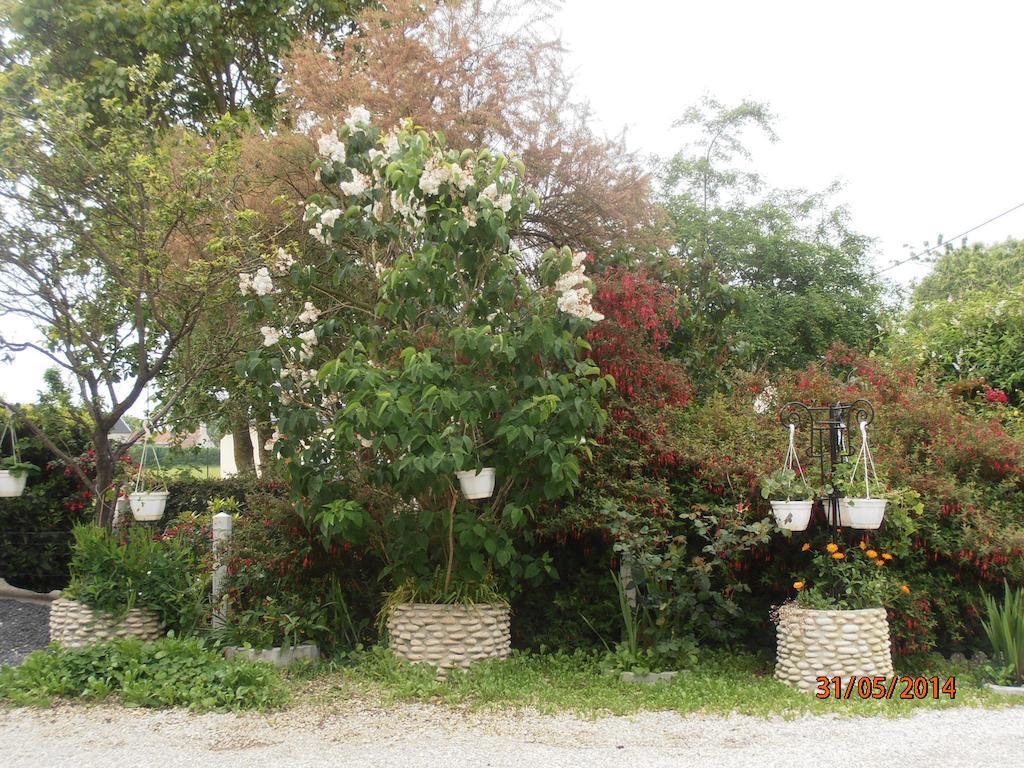 Les Galets Apartment Tracy-sur-Mer Luaran gambar